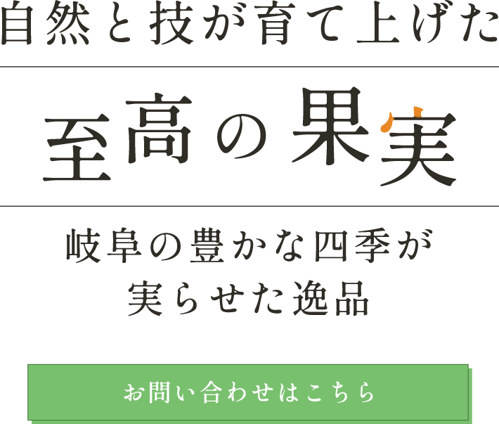 季節の恵みを感じられる一玉