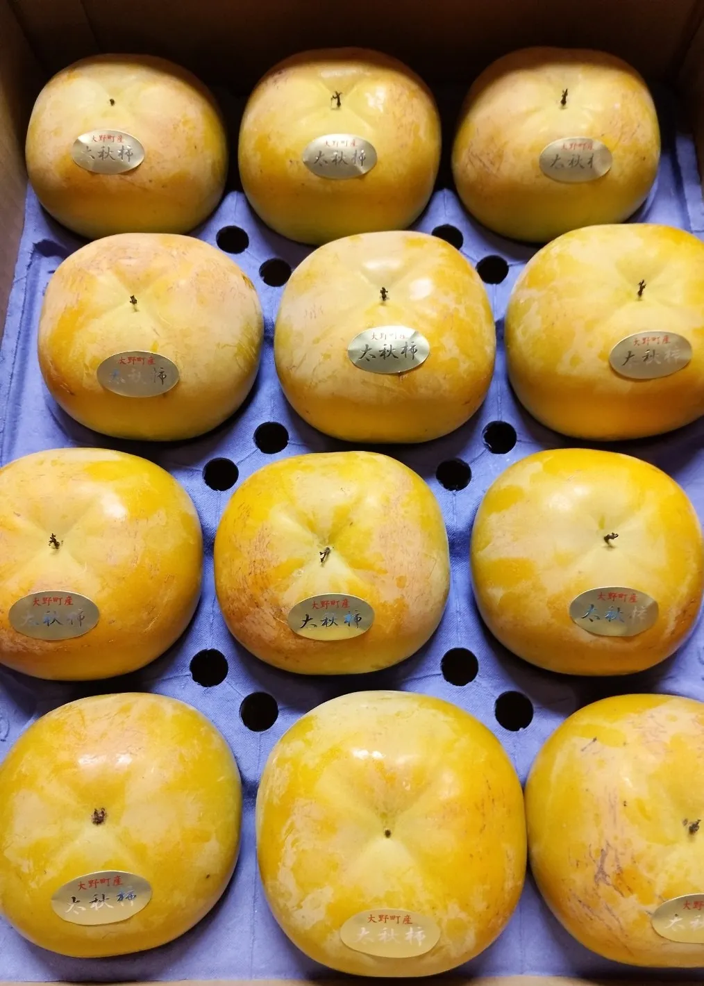 太秋