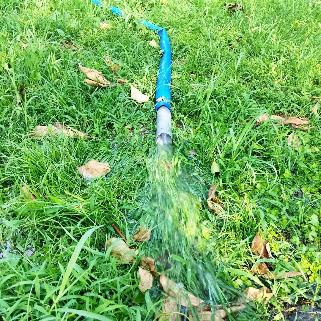 雨が降らなさすぎる😭