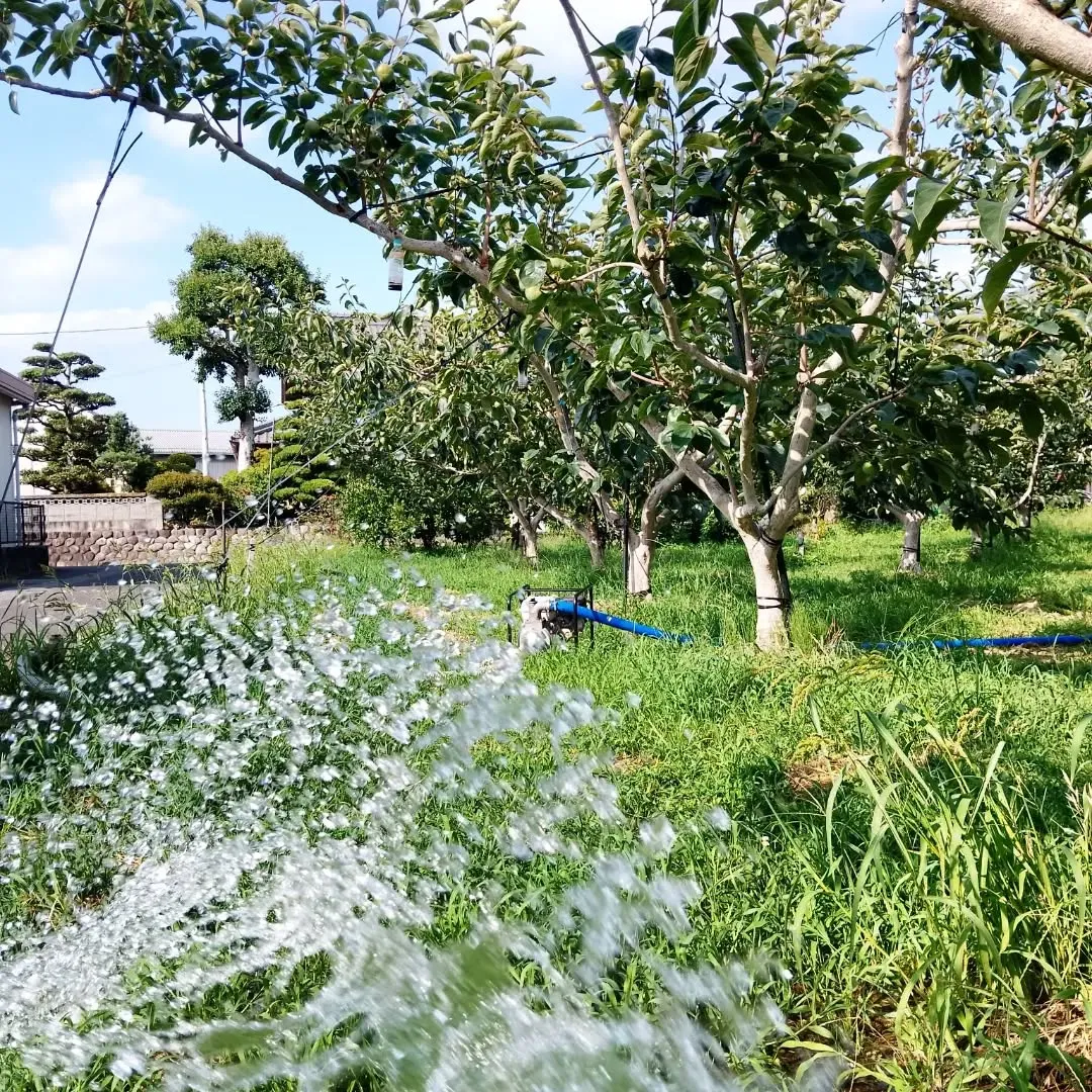 雨が降らなさすぎる😭