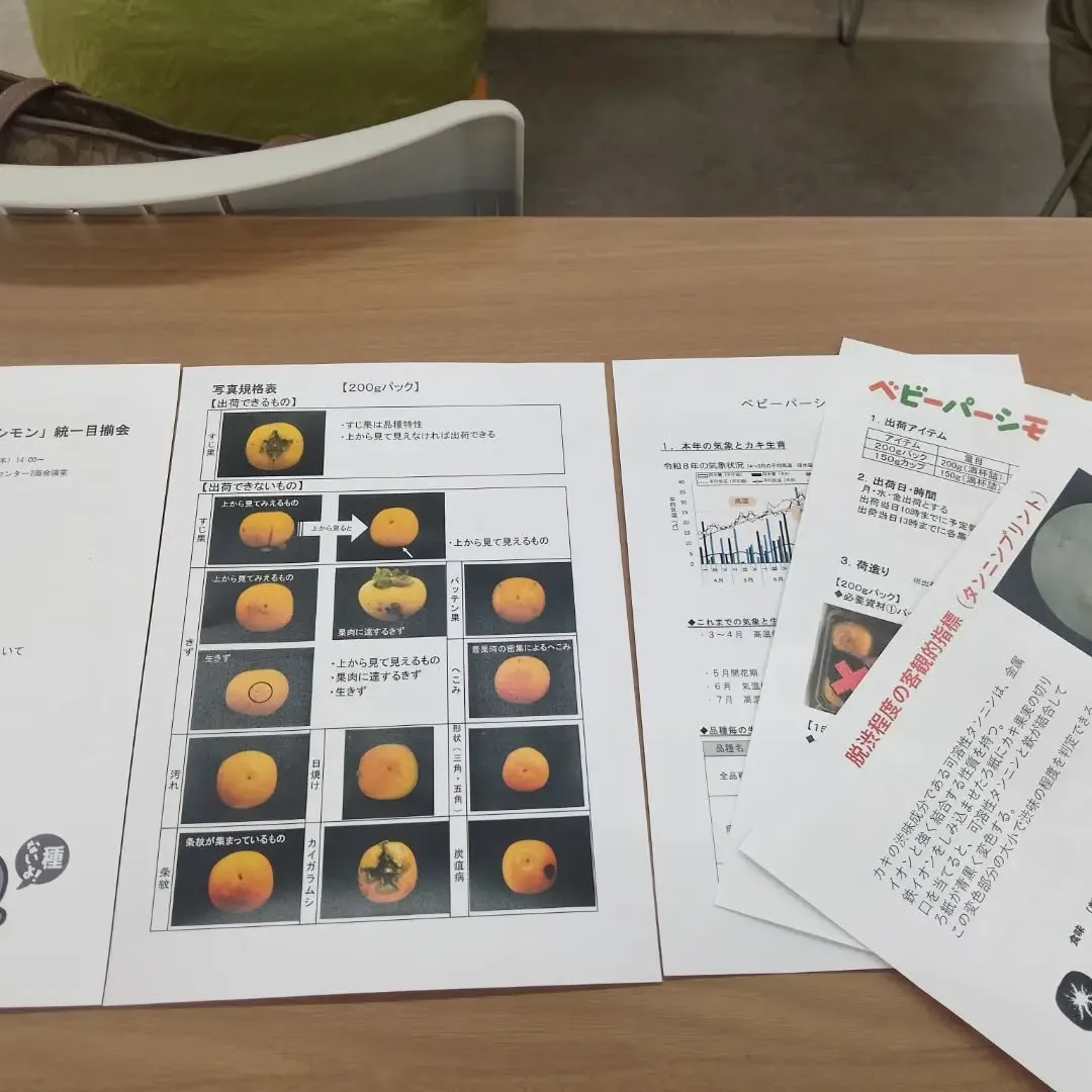 珍しい柿ベビーパーシモンの目揃会に行ってきました。
