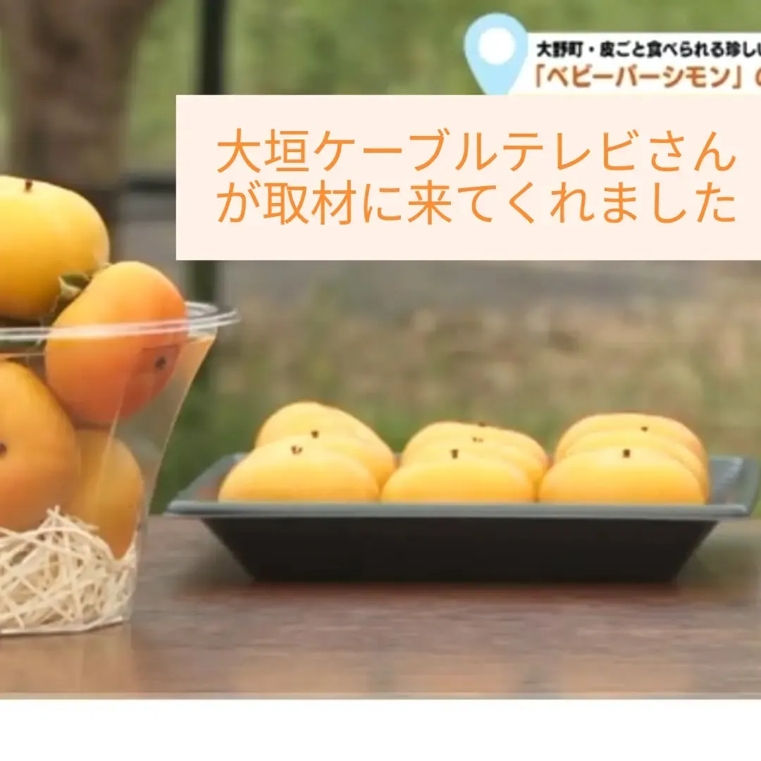 #https://youtube.com/watch?v=L...