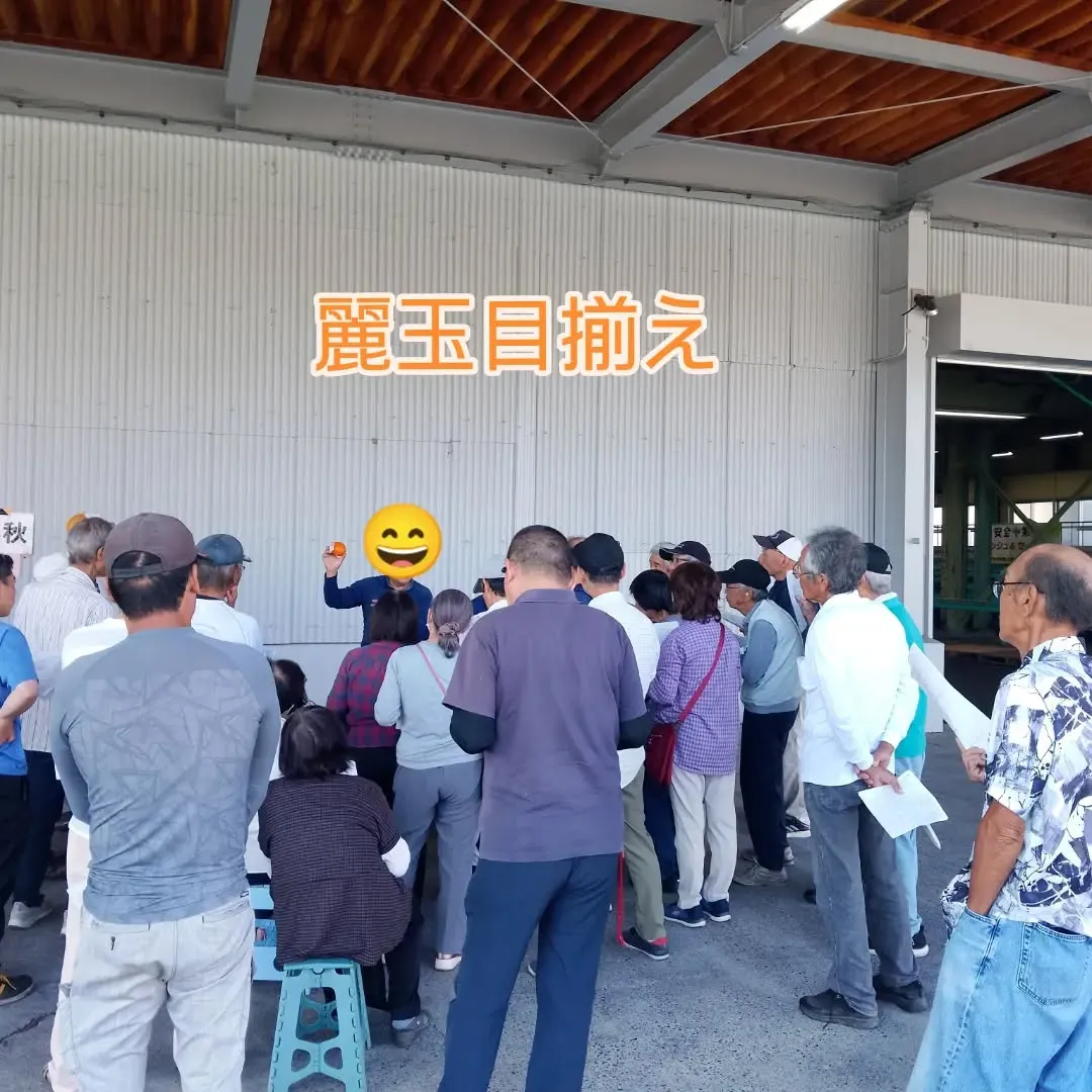 先日麗玉の目揃えがありました！！
